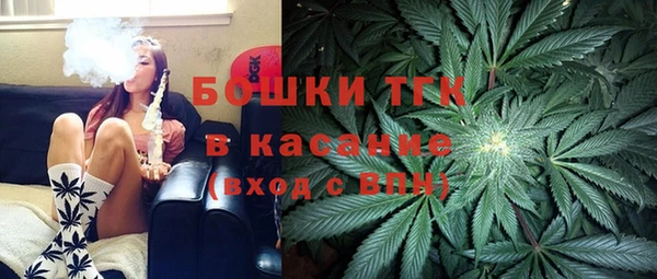 Альфа ПВП Верея