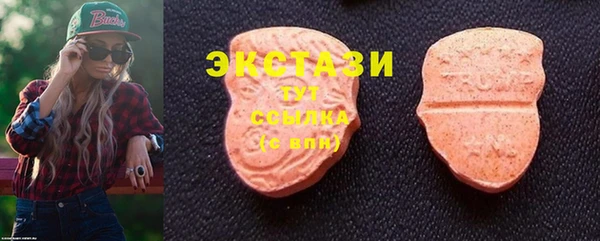 индика Вязники
